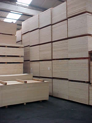 Bienvenidos - Productora de Triplay S.A. de C.V.